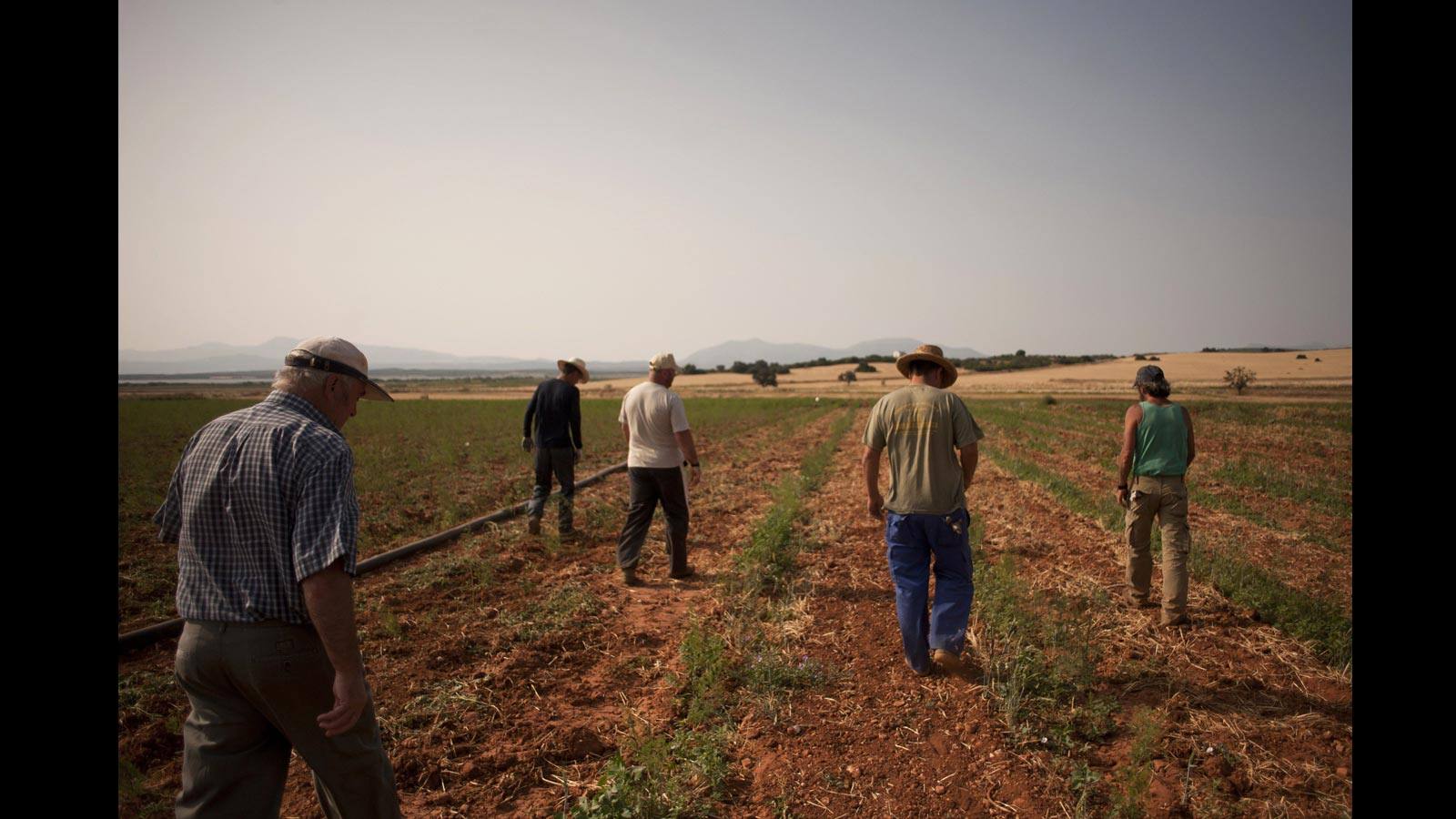 El Ayuntamiento de Alameda (Málaga) lleva a cabo este verano un programa temporal de empleo para dar trabajo a desempleados de la localidad. Juan Lorenzo Pineda (IU) espera que este proyecto vaya creciendo con los años