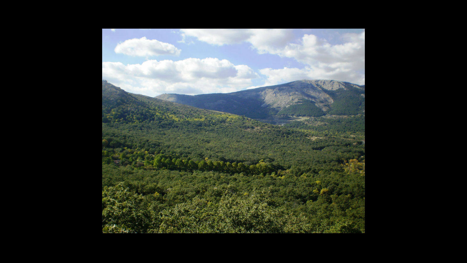 
El bosque de la Herrería, bajo el monte Abantos
