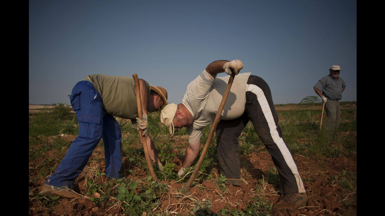 El Ayuntamiento de Alameda (Málaga) lleva a cabo este verano un programa temporal de empleo para dar trabajo a desempleados de la localidad. Juan Lorenzo Pineda (IU) espera que este proyecto vaya creciendo con los años