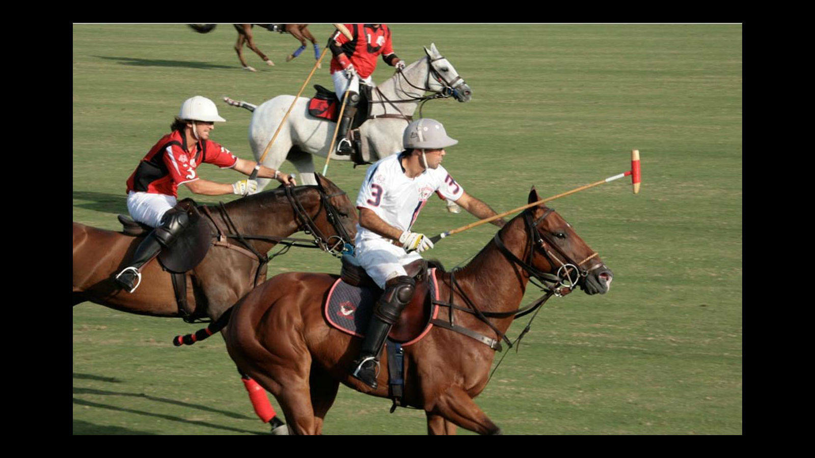 
El polo es una de las atracciones más demandadas y seguidas
