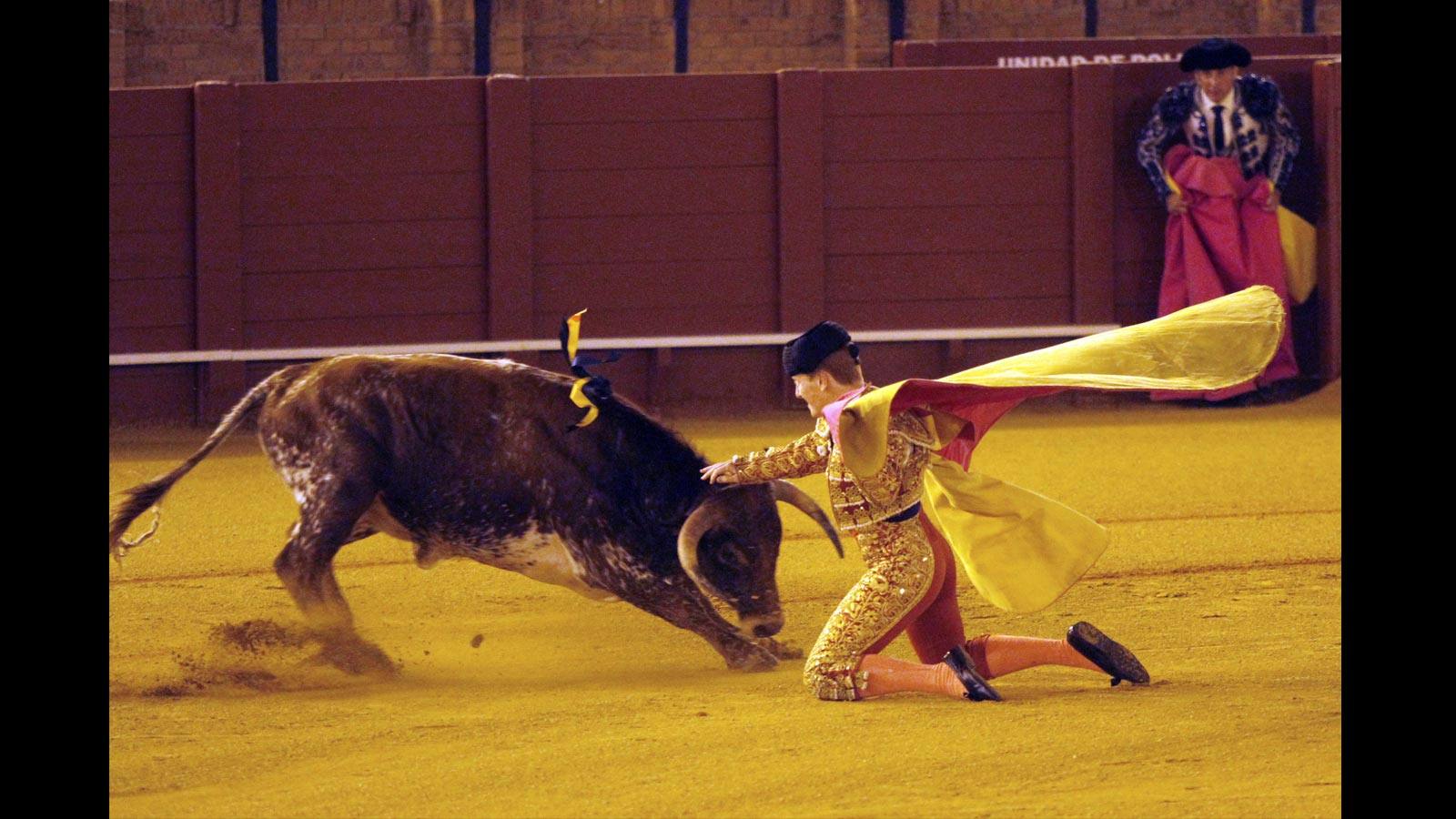 
Jesús Bayort, quide teja y oro, estocada (oreja) y tres pinchazos y estocada (ovación de despedida)
