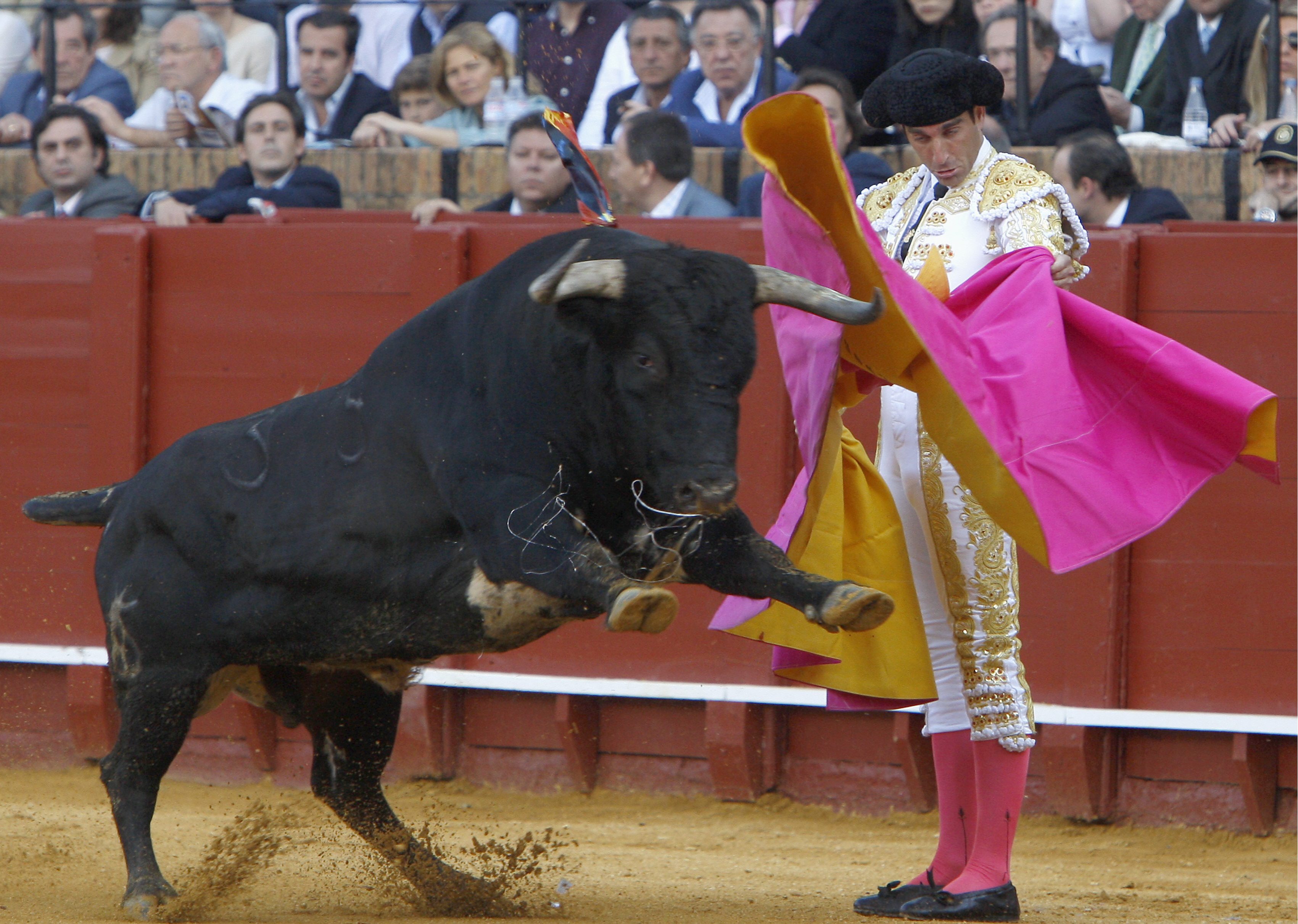 Los toros de Dolores Aguirre buscaron  hacer presa