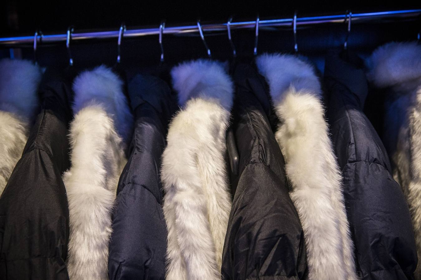 Con los 15 euros de la entrada se incluye abrigo y guantes para soportar las bajas temperaturas