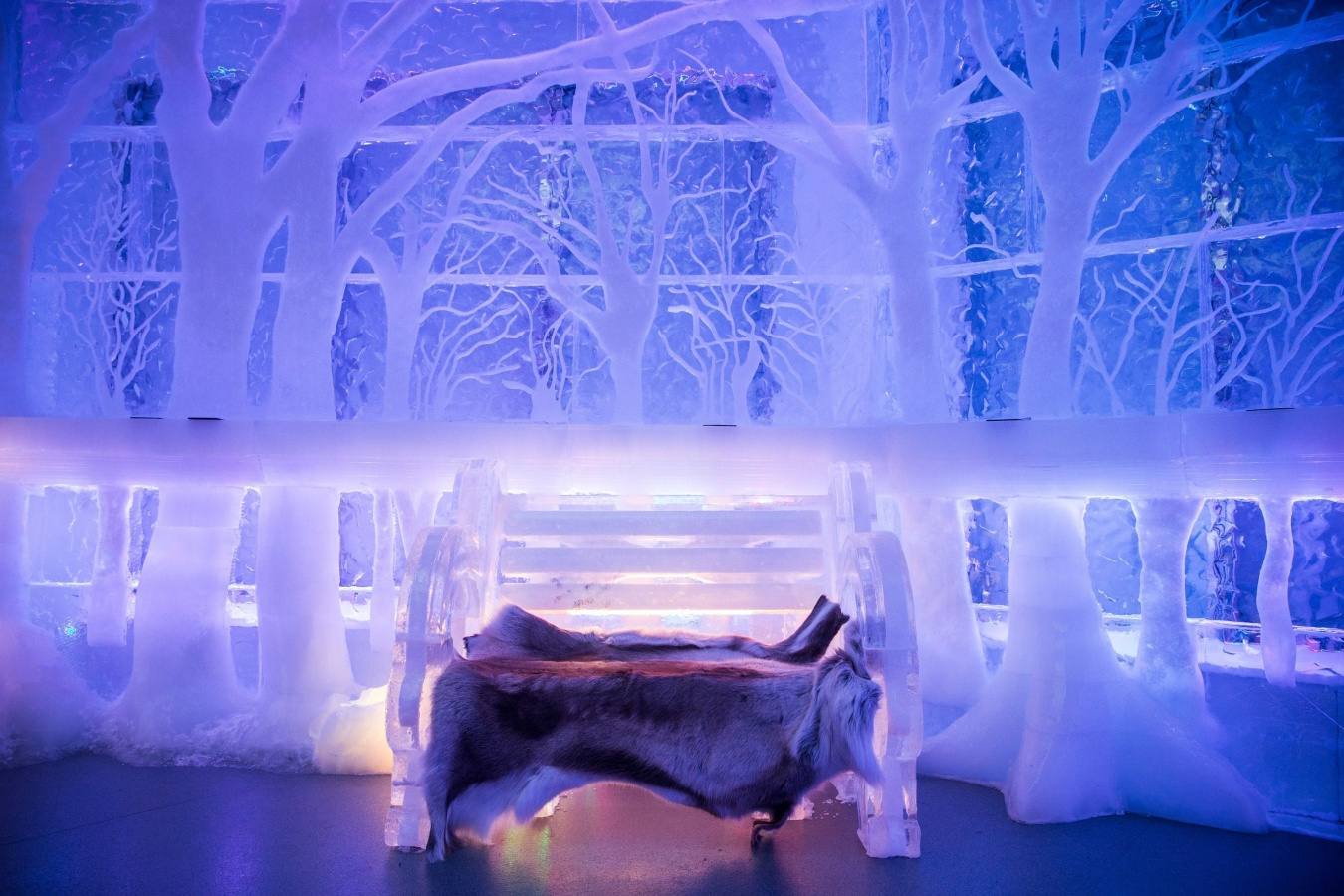 El Ice Bar será un centro de referencia para este verano