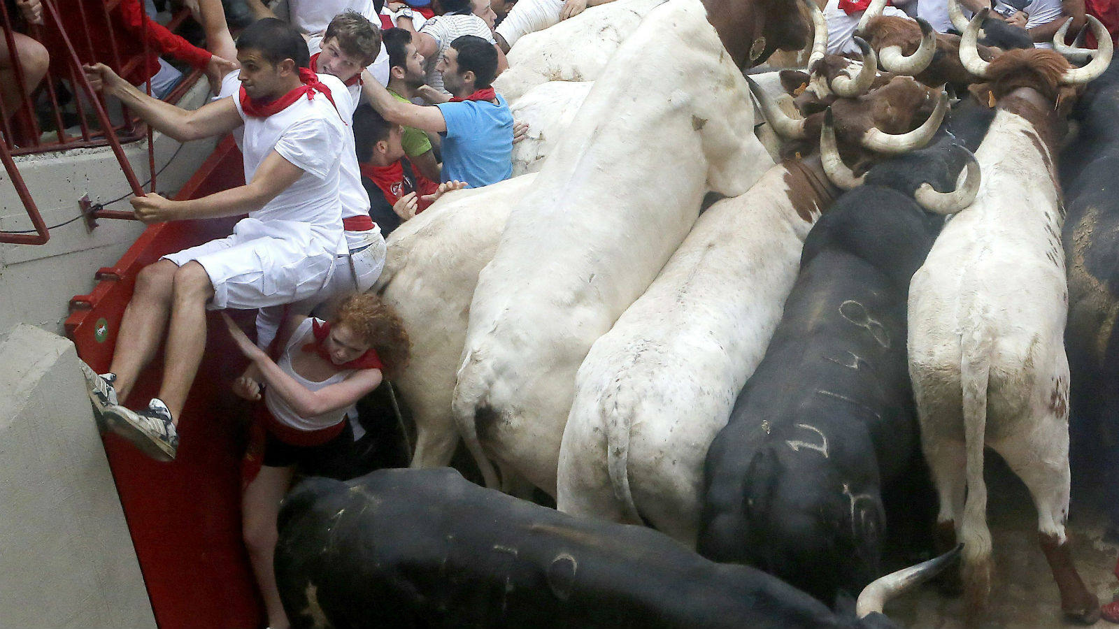 Los mozos se encontraron con una de las dos puertas de la plaza de toros cerrada, lo que provocó el tumulto antes incluso de que llegaran los toros.