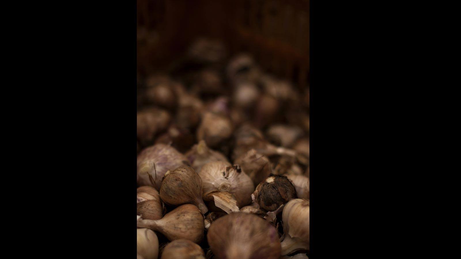 Estos 150 desempleados han encontrado su «salvación» en el campo. La tasa de desempleo en Málaga es de las más altas en España, cerca del 37 por ciento (la media es del 27 por ciento)