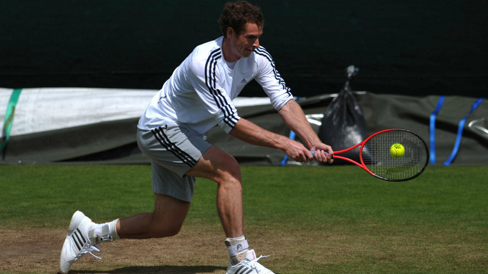 Los favoritos se preparan para una nueva edición de Wimbledon