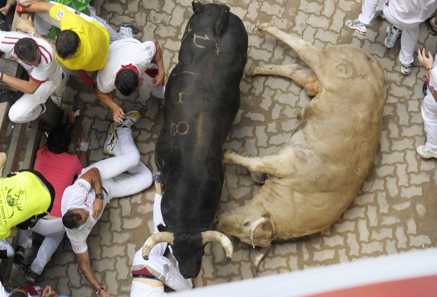 
Dramático séptimo encierro
